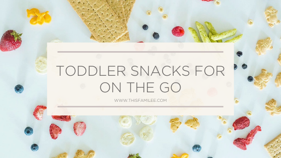 Toddler Snacks for On The Go | www.thisfamilee.com